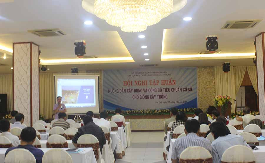 Ảnh: Nguyễn Diệp